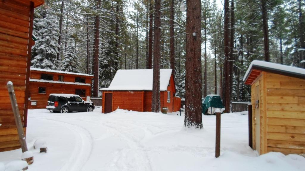 Cedar Pines Resort South Lake Tahoe Ngoại thất bức ảnh